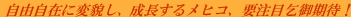 21���I�Ɍ����ĕϖe�A���i���郁�q�R